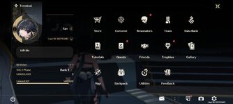 Screenshot_2024-06-06-22-08-35-421_com.kurogame.wutheringwaves.global.jpg