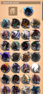 skin mount.png