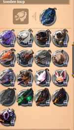 skin mount3.png