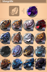 skin mount5.png