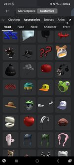 Screenshot_20240609_230117_Roblox.jpg