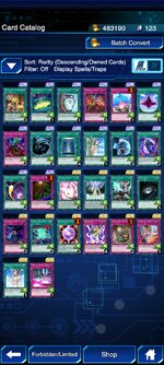 Screenshot_2024-06-13-17-10-36-413_jp.konami.duellinks.jpg