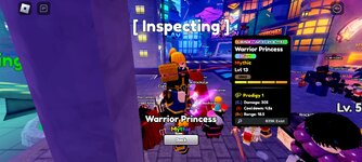 Screenshot_20240613_164314_Roblox.jpg