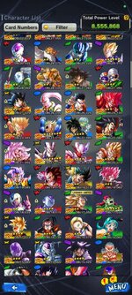 Screenshot_2024-06-14-11-03-09-387_com.bandainamcoent.dblegends_ww.jpg