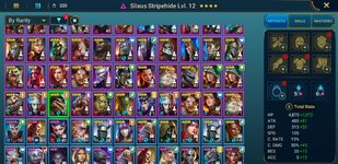 Screenshot_20240617-135148_Raid.jpg