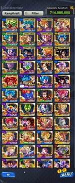 Screenshot_20240617_190714_DB LEGENDS.jpg