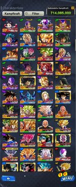 Screenshot_20240617_190724_DB LEGENDS.jpg