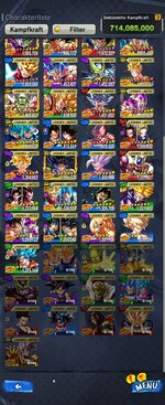 Screenshot_20240617_191016_DB LEGENDS.jpg