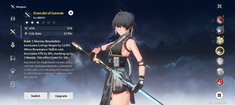 Screenshot_2024-06-21-10-09-31-820_com.kurogame.wutheringwaves.global.jpg