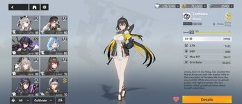 Screenshot_20240622_064309_Aether Gazer.jpg