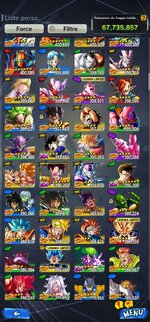 Screenshot_20240622_134539_DB LEGENDS.jpg