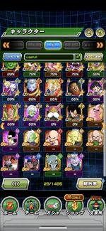 dokkan11.png