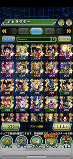 dokkan2.png