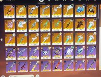 IMG_8929.jpeg
