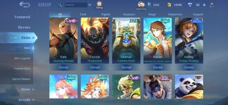 Screenshot_20240623_121059_Mobile Legends Bang Bang.jpg