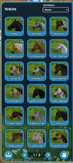 Pferde 1.png