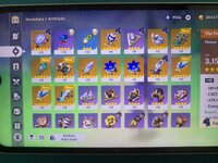 IMG_2286.jpeg