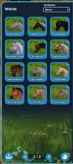 Horses2.png