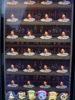 IMG_2307.jpeg