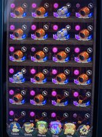 IMG_2311.jpeg