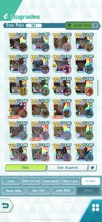 IMG_0217.jpeg