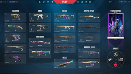 valorant sell skins.PNG