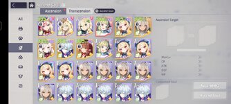 Screenshot_20240702_192125_com.kakaogames.eversoul.jpg
