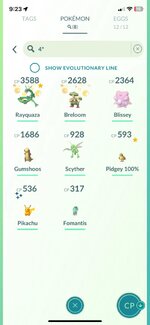 Hundo.jpg