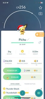 Santa Hat Pichu.jpg