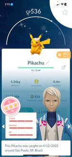 Shundo Hat Pikachu.jpg