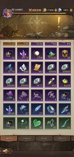 Screenshot_20240707_104836_Omniheroes.jpg