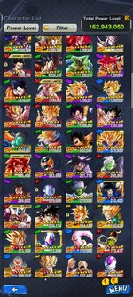 Screenshot_20240711_020645_com.bandainamcoent.dblegends_ww.jpg