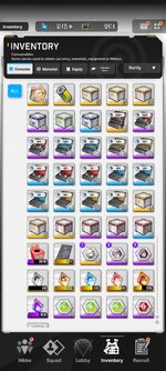 Screenshot_2024-07-11-11-16-07-748_com.proximabeta.nikke.jpg