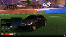 Rocket_League_64-bit_DX11_Cooked_09_06_2024_11_00_59-3.png