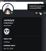2024-06-07 21_02_43-@Radren(Probe) - Discord.png