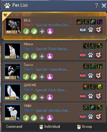 BDO6.png