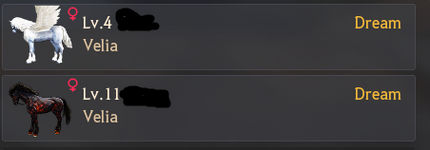 13.png
