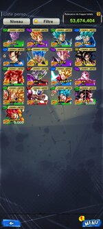Screenshot_2024-07-17-21-09-20-369_com.bandainamcoent.dblegends_ww.jpg