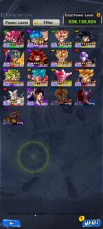 Screenshot_20240722-133312_DB_LEGENDS.jpg