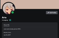 dsiscord.png