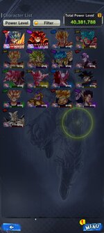 Screenshot_20240726-164259_DB_LEGENDS.jpg