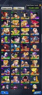Screenshot_20240726_231732_DB LEGENDS.jpg
