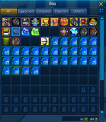 Storage Acc 2 Inventory.png