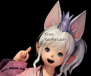 ffxiv_dx11 2024-07-29 15-33-22Kupfersalatkopie.png