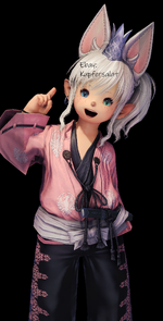 ffxiv_dx11 2024-07-29 15-33-22Kupfersalat.png