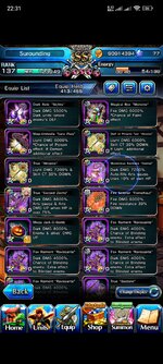 Screenshot_2024-07-29-22-31-05-166_jp.goodsmile.grandsummonersglobal_android.jpg