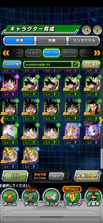 Screenshot_20240802_155841_com.bandainamcogames.dbzdokkan.jpg