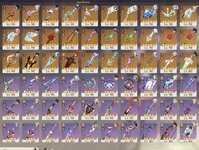 IMG_8197.jpeg