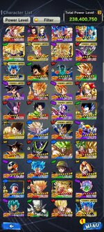 Screenshot_20240805_213318_DB LEGENDS.jpg