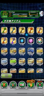 Screenshot_20240805_160420.jpg
